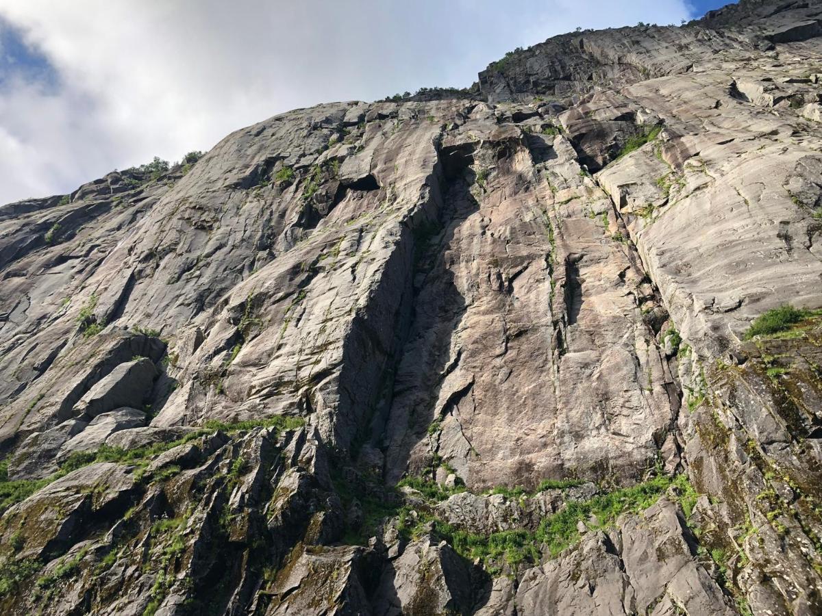 Lofoten And Vesteralen Kveldro Myrland Exterior foto